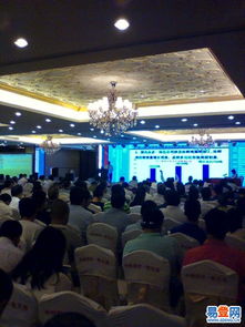 龙华金贸易登网 文艺演出与庆典活动策划全解析