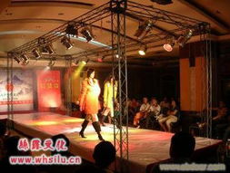 丝露文化传播 武汉庆典与文艺演出的专业服务商